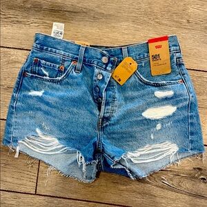 Levi's Distressed Blue Jean Shorts